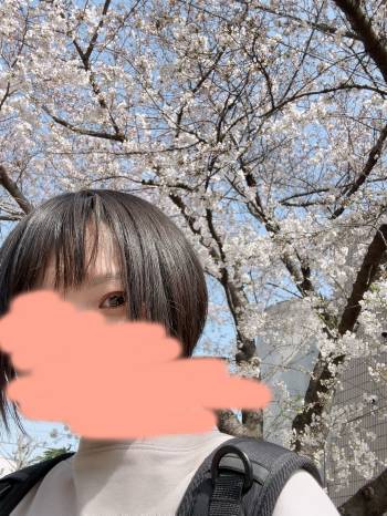 桜だ！（2024/04/02 10:33）村井 ことみのブログ画像
