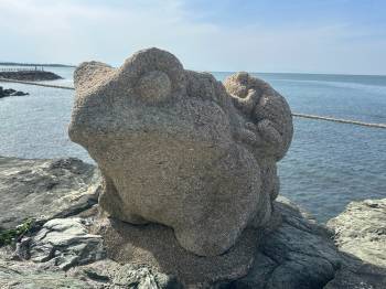 春よ、、（2025/05/09 09:36）村井 ことみのブログ画像
