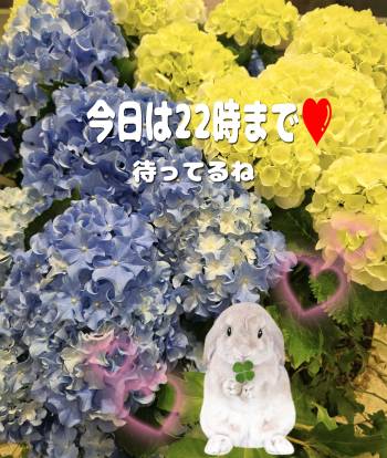 6月1日（2025/06/01 16:55）杉野 あおいのブログ画像