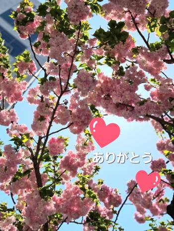 3月25日（2026/03/25 14:07）杉野 あおいのブログ画像