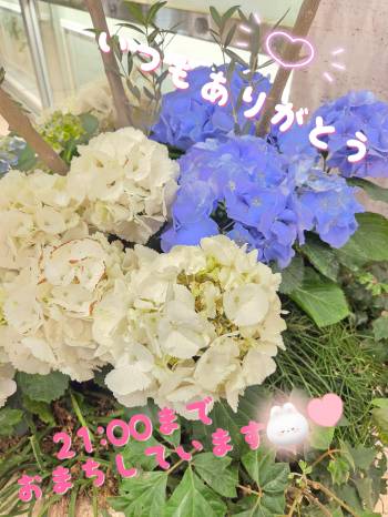 5月20日（2026/05/20 12:54）杉野 あおいのブログ画像