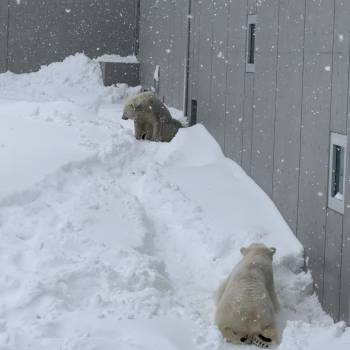 出勤🐣（2026/02/21 10:58）斉藤 つむぎのブログ画像